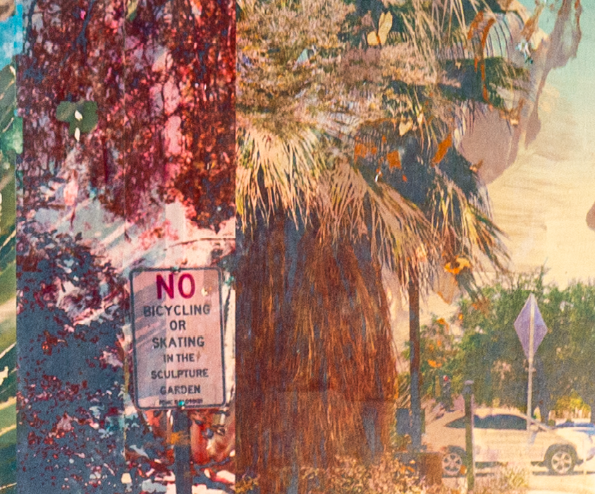 artwork mixed media collage palm springs desert plants desert city california image section